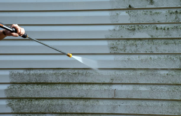 Best Local Pressure Washing Services  in Opp, AL